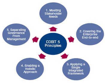 cobit principles